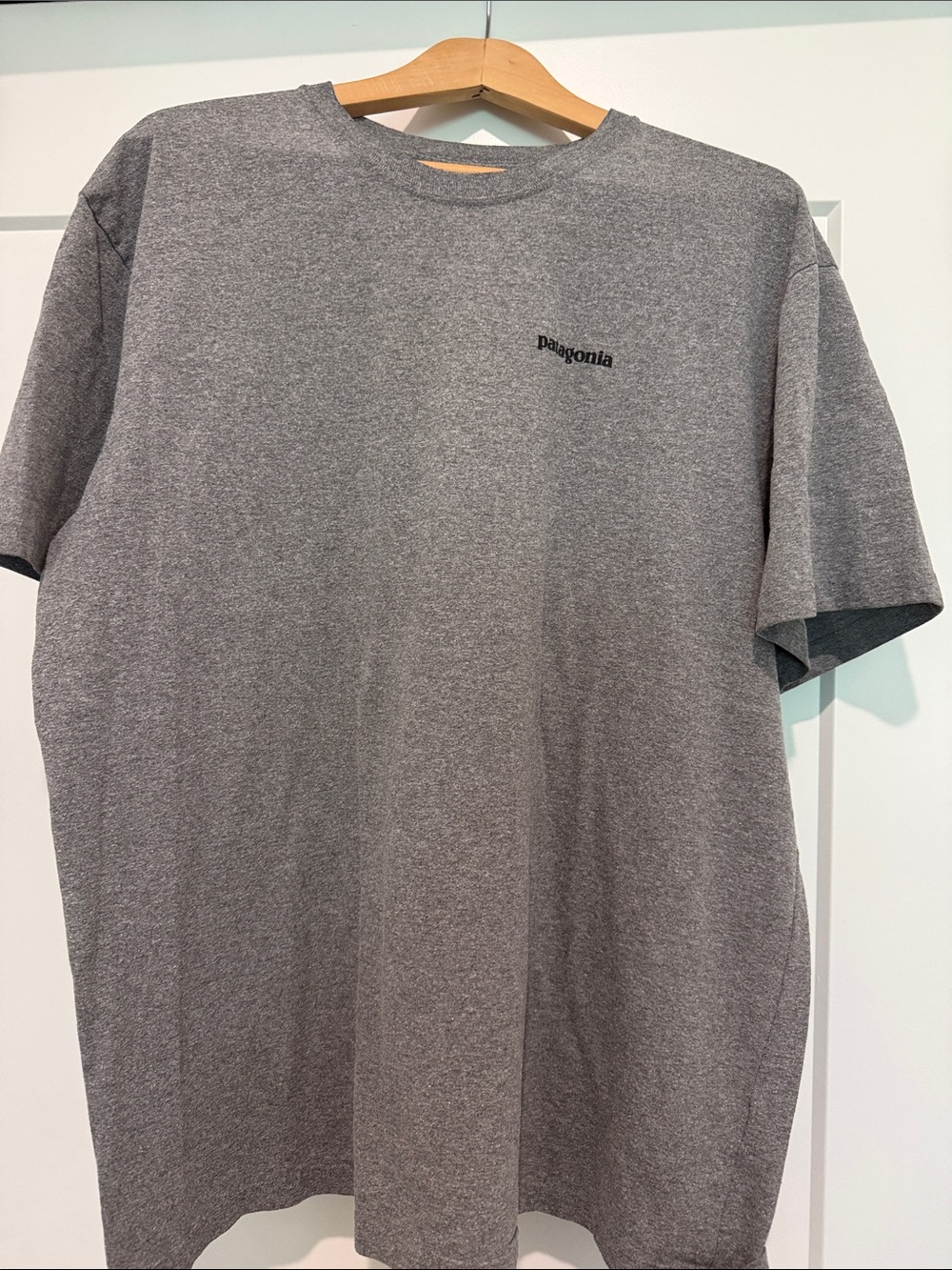 Patagonia Gray Short Sleeve Crewneck Tee with Chest Logo